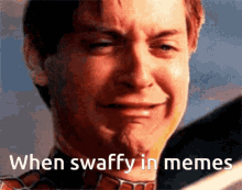 Swaffy When Swaffy GIF - Swaffy When Swaffy Meme GIFs