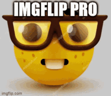 Imgflip Imgflip Pro GIF - Imgflip Imgflip Pro Yes I Use Imgflip Pro How Could You Tell GIFs