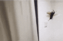 a close up of a bug flying over a cup with the letter l on it