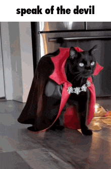 a black cat wearing a red cape and a necklace is standing on the floor .