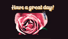 Have A Great Day Make Today Count GIF
