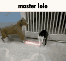 Hey Uriel Lolo GIF - Hey Uriel Lolo Master GIFs
