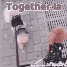 Somesomepoodle Together GIF - Somesomepoodle Together GIFs