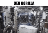 a picture of a gorilla in a space station with the caption " xen gorilla "