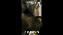 Sun_lv GIF - Sun_lv GIFs