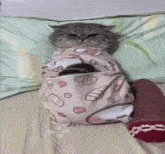 a cat is wrapped in a blanket with a hello kitty pattern