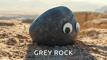 a rock with googly eyes sits on a pile of gravel with the word grey rock below it
