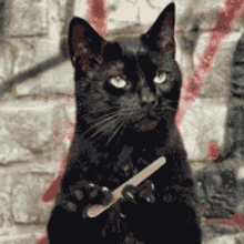 Salem Black Cat GIF - Salem Black Cat Nail File GIFs
