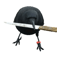 Crow With Knife Caw Sticker