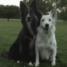 Bạn, Chó, ôm, Bạnthân, Yêuchó GIF - Friend Dog Hug GIFs