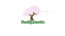 a logo for redquixotic with a tree and pink flowers