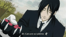 cats black butler