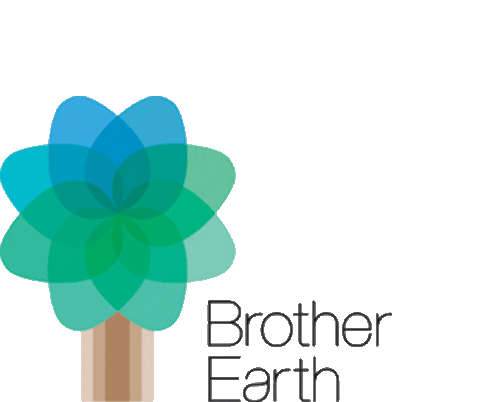 Brother At Your Side Brother Earth Sticker - Brother At Your Side Brother Earth Logo Stickers