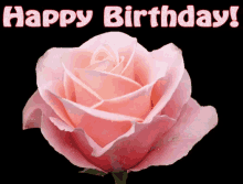 Happy Birthday Pink Rose GIF
