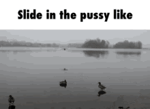 pussy slide in the pussy duck