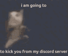 Discord Server GIF - Discord Server Kick GIFs