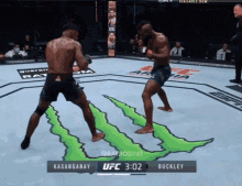 Joaquin Buckley Ufc Ultimate Knockout GIF - Joaquin Buckley Ufc Ultimate Knockout Ufcko GIFs