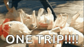 a bunch of plastic bags on the ground with the words one trip