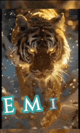a picture of a tiger with the name emi written on it