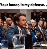 Your Honor In My Defense GIF