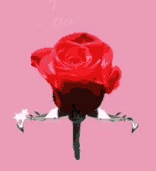 Love You Rose GIF - Love You Rose GIFs