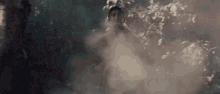 a man is standing in a foggy forest surrounded by trees .