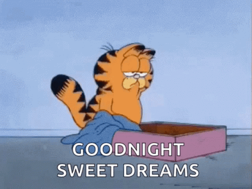 Sweet Dreams Goodnight GIF - Sweet Dreams Goodnight Garfield - Discover &  Share GIFs