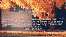 a quote from isaiah 60:20 kjv is displayed in front of a tree