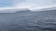 Splash Whale Breaching GIF - Splash Whale Breaching Next To Boat GIFs