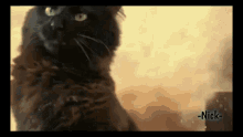 Gatto Cat GIF - Gatto Cat GIFs
