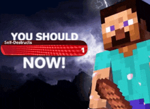 a minecraft character with a red bar that says self-destructs now