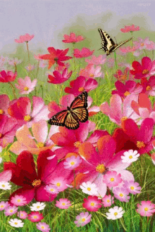 Butterfly Flowers GIF - Butterfly Flowers Pink GIFs