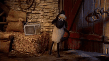 a cartoon sheep is standing next to a radio on a bale of hay