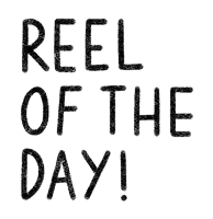 a sign that says " reel of the day " on it