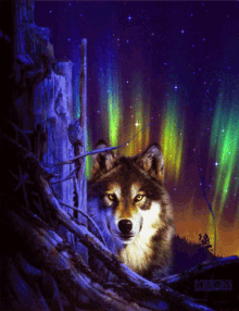 Wolf Lights GIF - Wolf Lights Cute GIFs