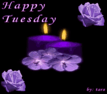 Happy Tuesday Purple GIF - Happy Tuesday Purple Candle GIFs
