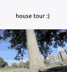 House Tour Tree GIF