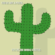 cactus prick