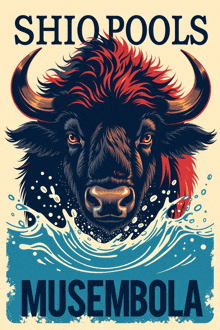 a poster for shio pools musembola shows a bull in the water