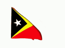 Timor Hadomi GIF - Timor Hadomi Flag GIFs