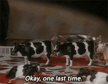 Father Ted Cows GIF - Father Ted Cows GIFs