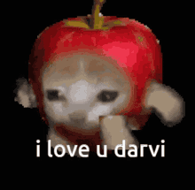 Darvi I Love U GIF - Darvi I Love U Friend GIFs