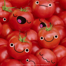 Good Morning Tomatos GIF - Good Morning Tomatos GIFs