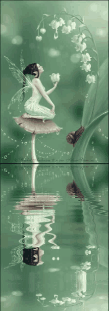 Fairy Water GIF - Fairy Water Reflection GIFs