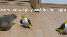 Me When We Play East Los Fm In Gta Bird GIF - Me When We Play East Los Fm In Gta Bird Happy Dance GIFs