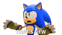 thats new sonic the hedgehog sonic prime this is new thats fresh