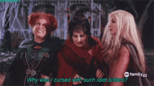 Hocus Pocus Sanderson Sisters GIF - Hocus Pocus Sanderson Sisters Why Was I Cursed With Such Idiot Sisters GIFs