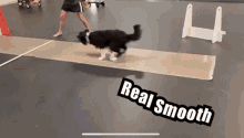 Sewott Real GIF - Sewott Real Smooth GIFs