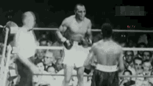 Boxing Knock Out GIF - Boxing Knock Out Ko GIFs