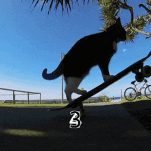 a black and white cat is riding a skateboard with the number 3 above it